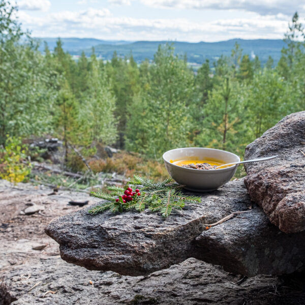 Kvinnoretreat - Skriv med hjärtat 6-8 juni 2025 - Bild 5